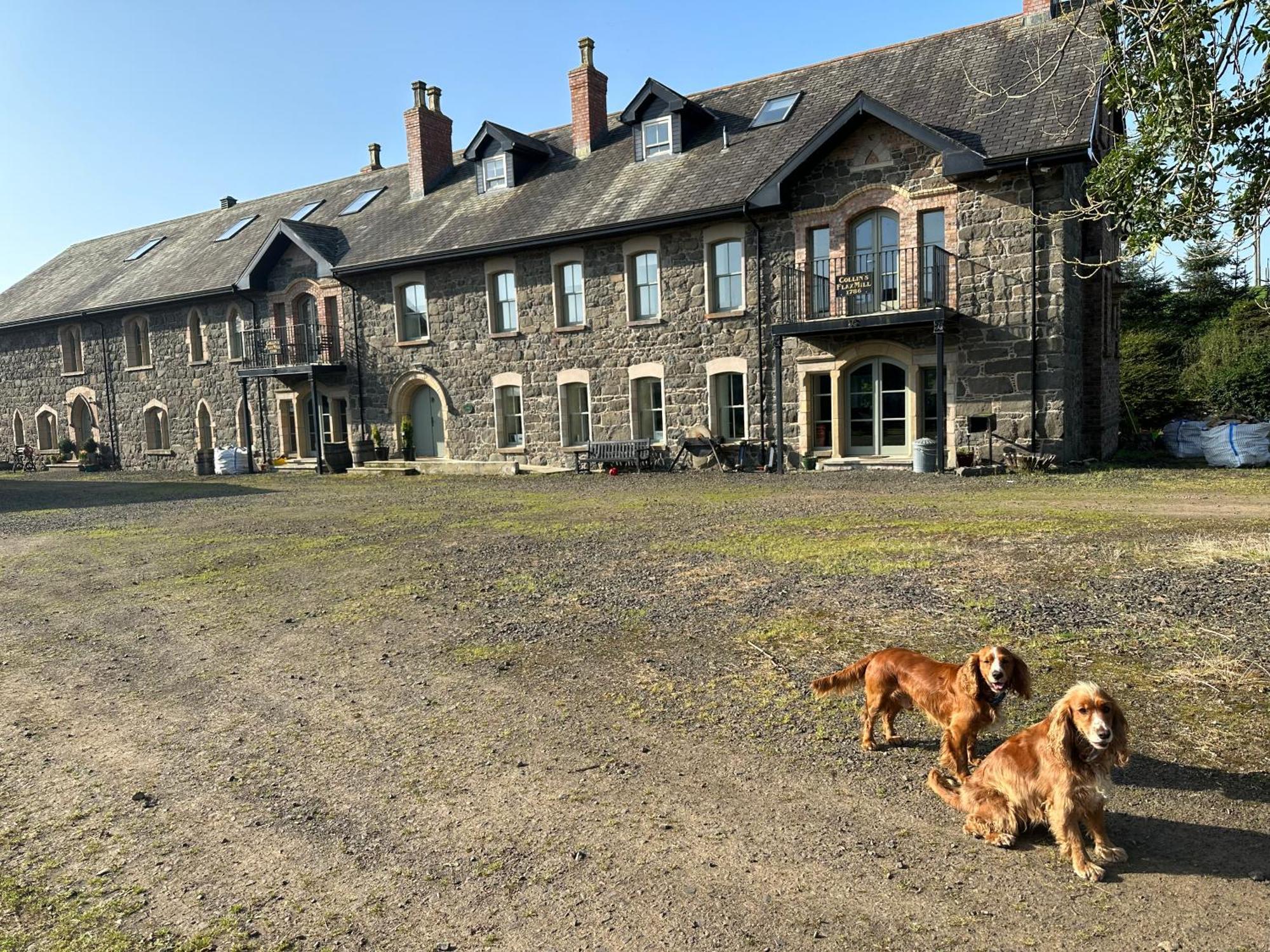 Villa The Old Flax Mill Yoga Retreat Coleraine Exterior foto