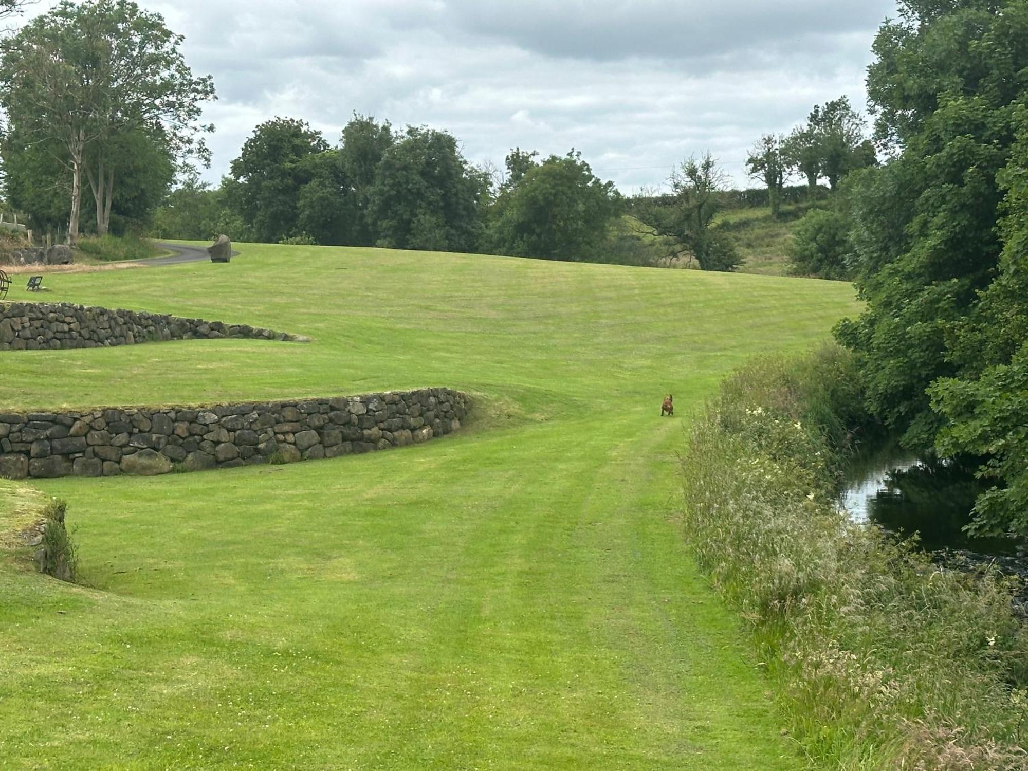 Villa The Old Flax Mill Yoga Retreat Coleraine Exterior foto